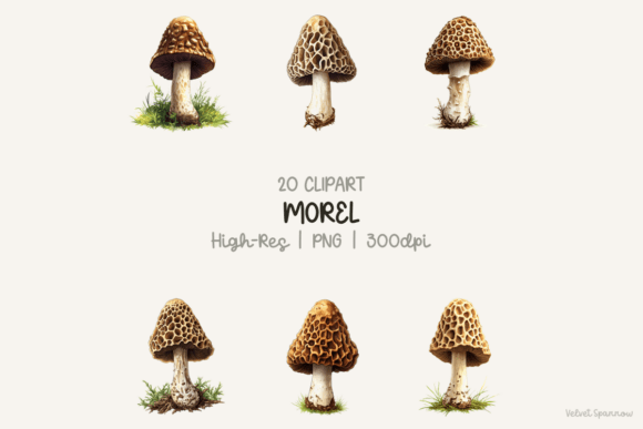 Morel Mushroom Clipart for Creative Projects